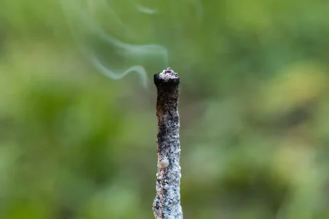 incienso en nuestras vidas